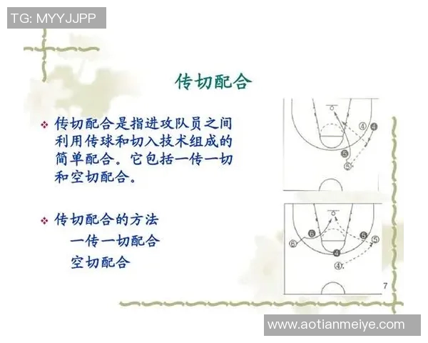南京排球队阵地战体系的战术分析与实践探讨 南京排球队阵地战体系的战术分析与实践探讨