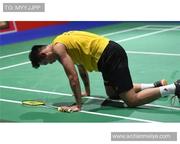 西安羽毛球队技术表现的数据分析与提升策略探讨