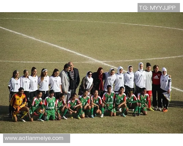 荷南足球明星的辉煌历程与成就揭秘你知道多少关于他们的故事