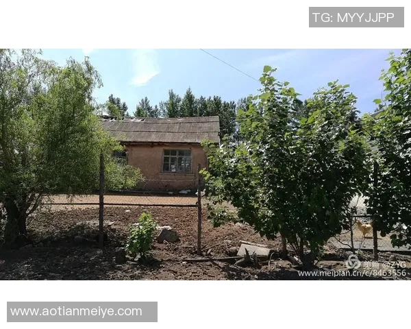 足球明星重返故土引发球迷热潮回归之路充满期待与感动